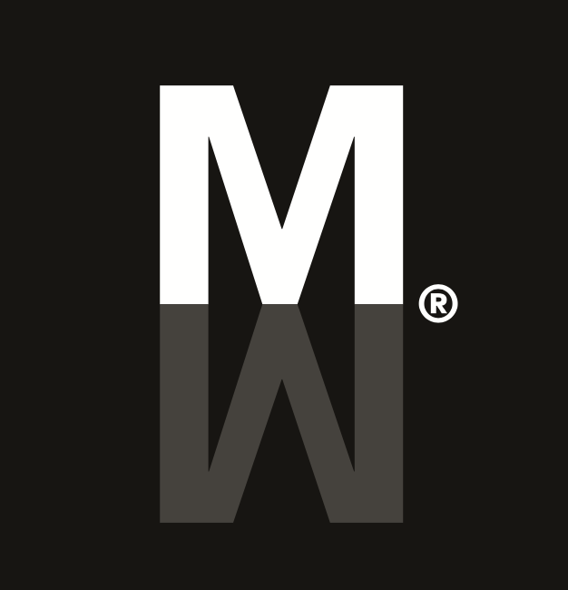 light logo